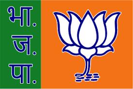 Political Party Flag